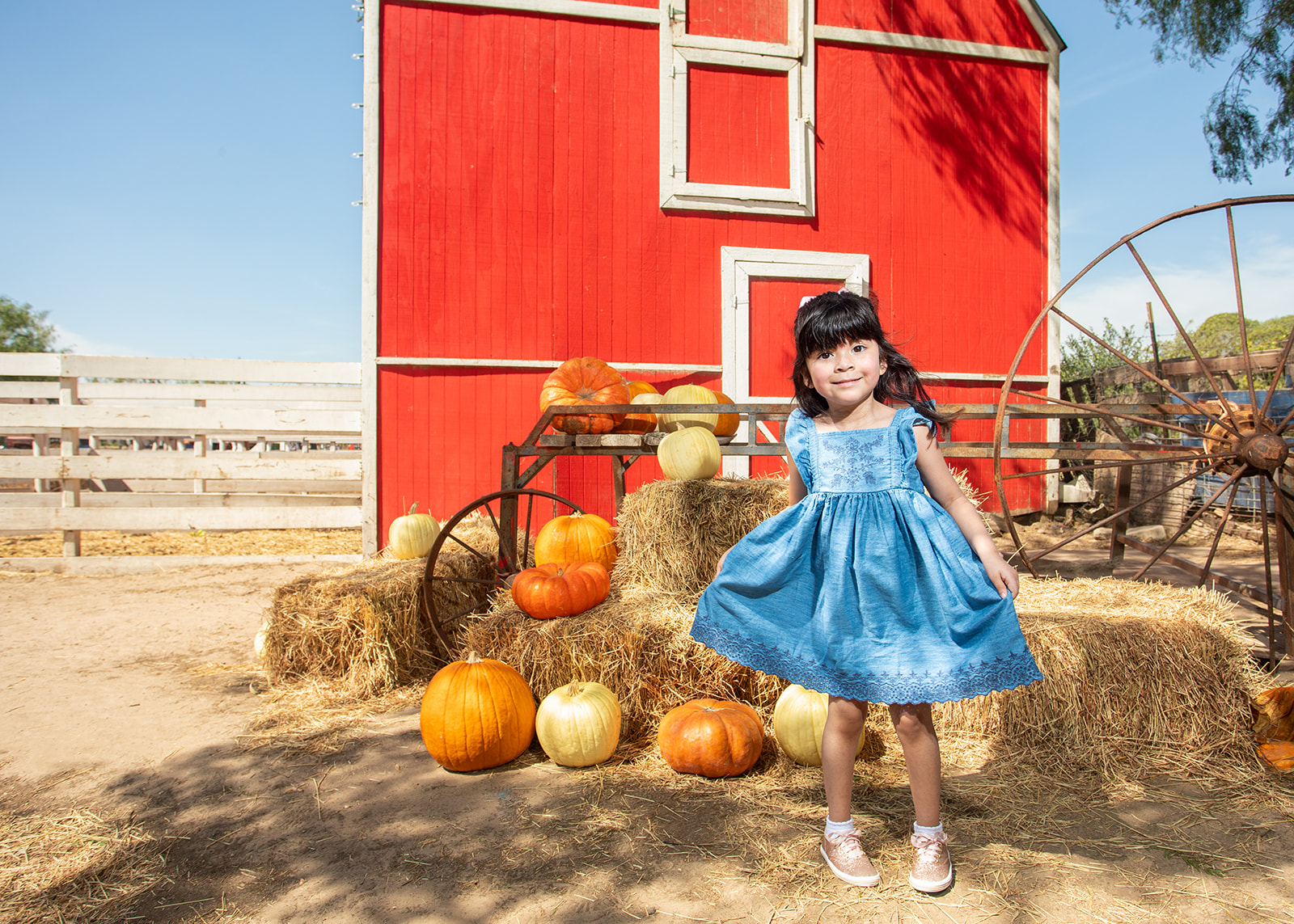 Phinis Pumpkin Patch B-Day Session – Maddies Pumpkin Patch, TX – Bee Beautiful Studios